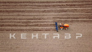 Минитрактор Кентавр Т-5 LITE 6+2 (Toyokawa) STD agri 5,00-12 / 6,50-16 + (фреза/плуг)